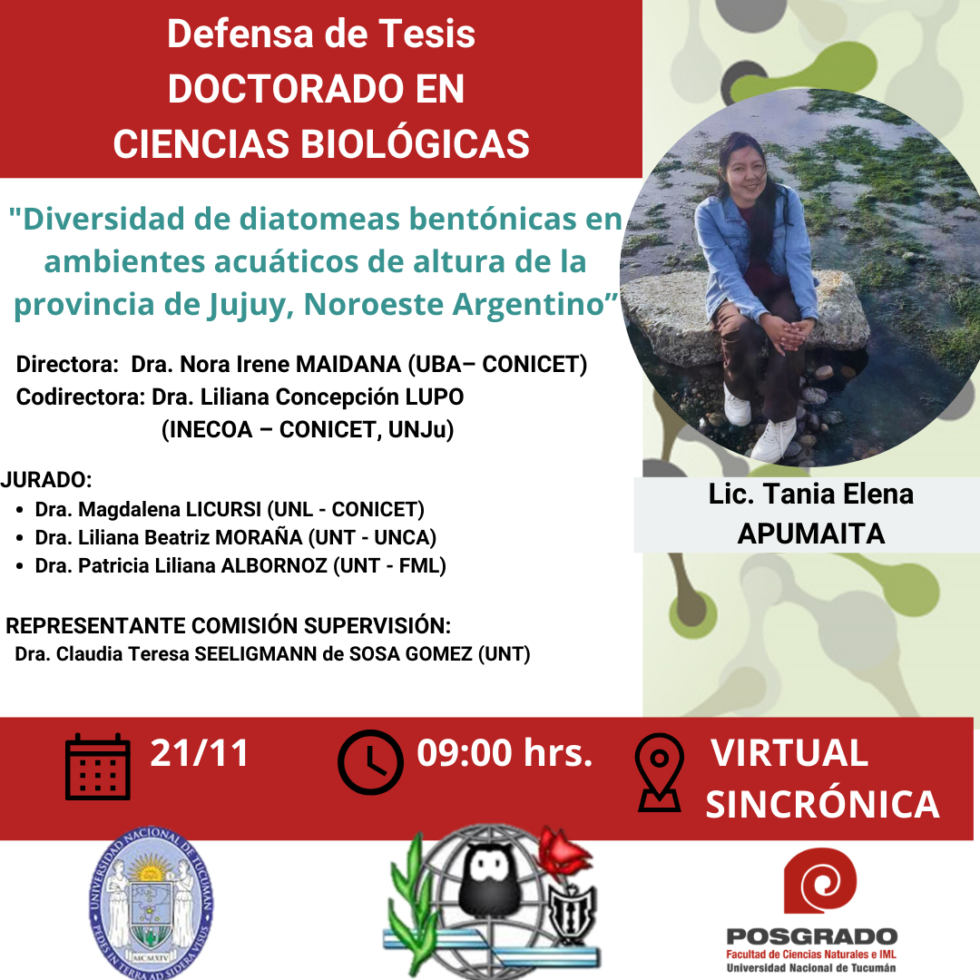 Tesis APUMAITA 1